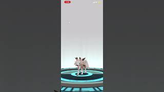 Rockruff Evolving Into Lycanroc In Pokémon Go