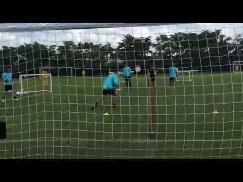Goalkeeper Catching, Hand distribution, Angles and Ready Position Drill