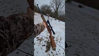 Squirrel hunting with my Ruger 1022 #deerhunting #deer #hunting #hunterxhunter #hunter #winter #snow