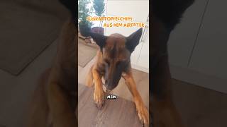 Schmeckie Rezept Mit Nur 1 Zutat