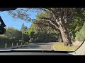 Rolling Through the Richest Streets: Beverly Hills Car Tour #beverlyhills #usa