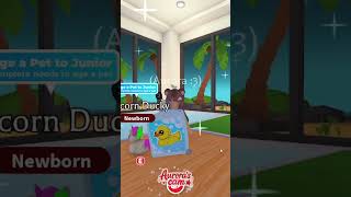 We Got LUCKY Opening these Ducky Boxes in Adopt Me! #roblox #adoptme
