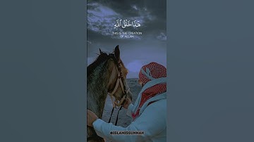 هذا خلق الله ❤️ #تلاوة_خاشعة #اكسبلور #القرآن_الكريم #لايك #راحة_نفسية