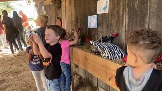 Pumpkin Patch at Penton Farms
