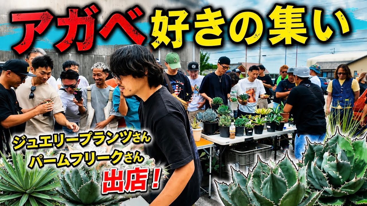 Plant Report] A Hobbyist Held a Pop-up Sale at an Agave