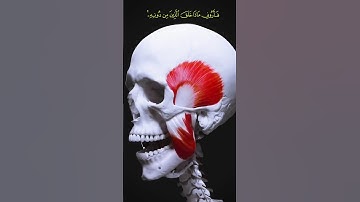 سبحان الله 😮 تلاوة جميلة خاشعة #قرآن #قران_كريم