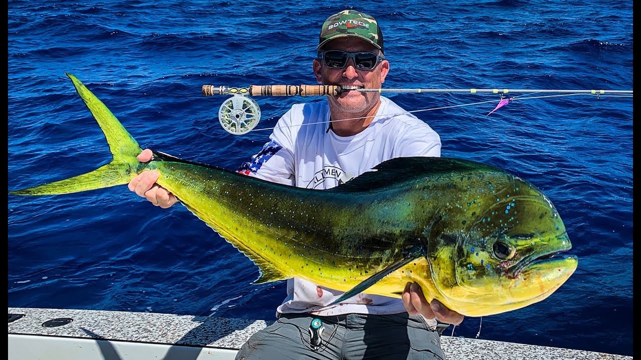 Massive MAHI on 8wt FLY!!! {Catch Clean Cook} Absolutely INCREDIBLE DAY!!!! YouTube