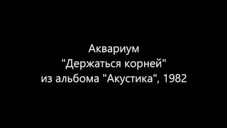 Аквариум - Держаться корней (Акустика, 1982)