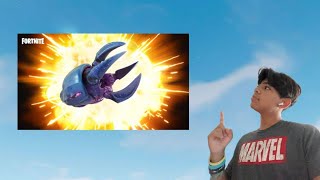 Only using the bug blaster 