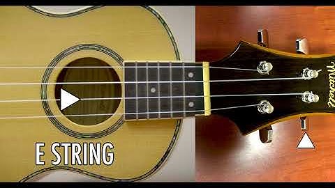 Easy UKE (Ukulele) TUNER VIDEO for Beginners! G C E A
