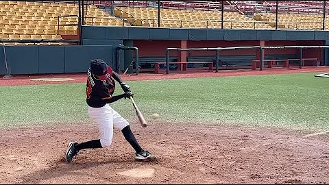 Steven Guzman- Home Field Hunter Baseball