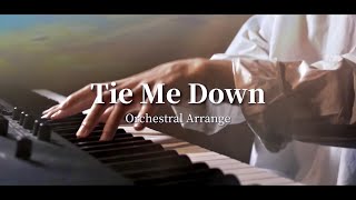 Tie Me Down - Alley Duhe \u0026 Gryffin（Orchestral Arrange）【ばんけん】