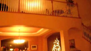 20101230 JAH Denver 005.AVI