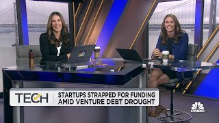 Startups strapped for funding amid venture debt drought