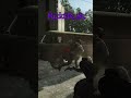 Rares Tarkov Moments #eftpvp #eft #gaming