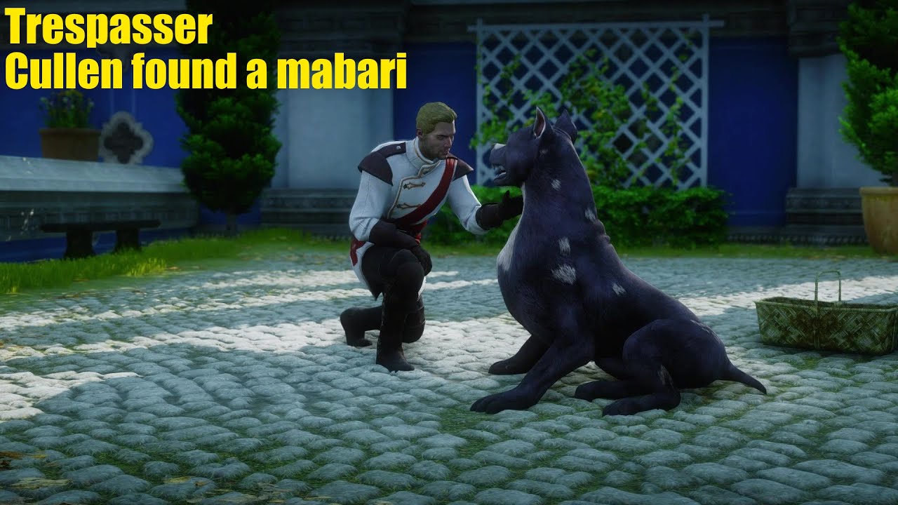 Dragon Age: Inquisition |Trespasser - Cullen found a mabari