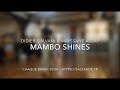 Cours de mambo shines avec didier galvani  mayssane assaf  salsabor paris