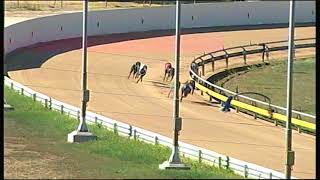 HOR TUE 27 FEB 18 R5