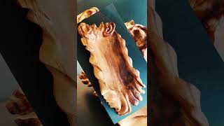 What makes woodworking and wood design so special