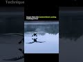 Swans Have the Coolest Water Landing Technique Ever! 🦢