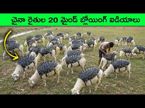 Top 20 Amazing Modern Farming Technologies & Tricks | Mind-blowing ideas of Chinese farmers | Telugu
