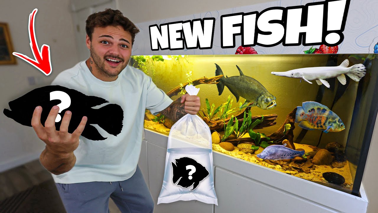 I Bought EXOTIC FISH for NEW 150G AQUARIUM!! (crazy) - YouTube