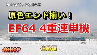 ドキッ！EF64 4重連単機 奇跡の原色エンド揃い 2022年お正月のビッグなお年玉 Part1