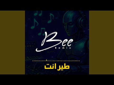 ريمكس طير انت