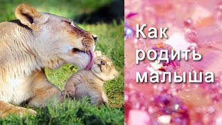 КАК ЗАБЕРЕМЕНЕТЬ. ИНСТРУКЦИИ. КАК ЗАБЕРЕМЕНЕТЬ. ИНСТРУКЦИИ.