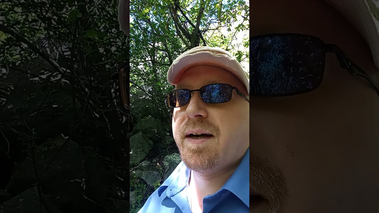 Video Resume (personal experience)