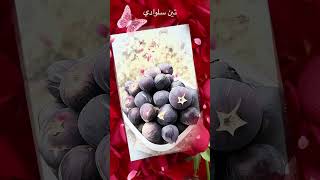 التين السلوادي احلى تين سمعها