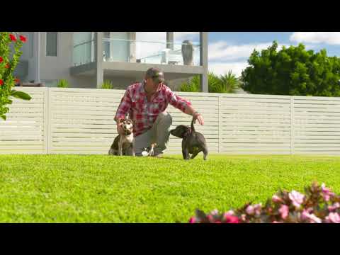 Make Sure it's Genuine Sir Walter