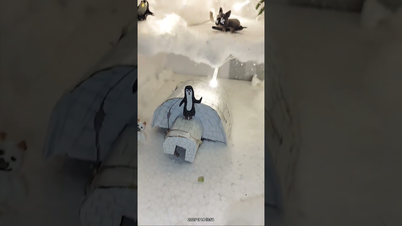 science project #education #trending #study #explore #shorts #ytshorts #exhibition #india