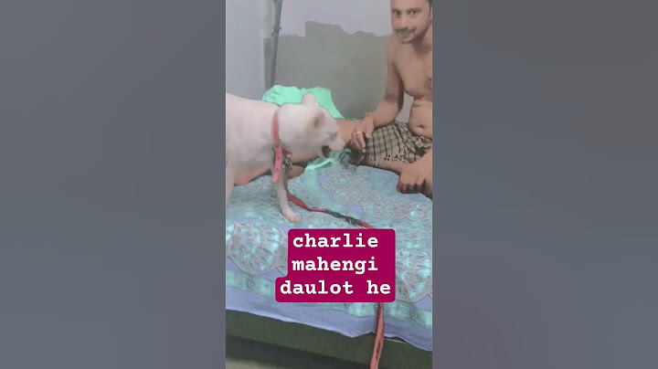 #charlie mahengi daulot he