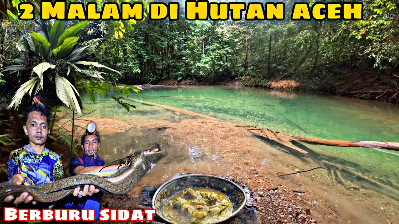 Fishing Advanture || Berburu Sidat dan Berpetualang Di Hutan Dan Mencari Ikan Di Alam Liar