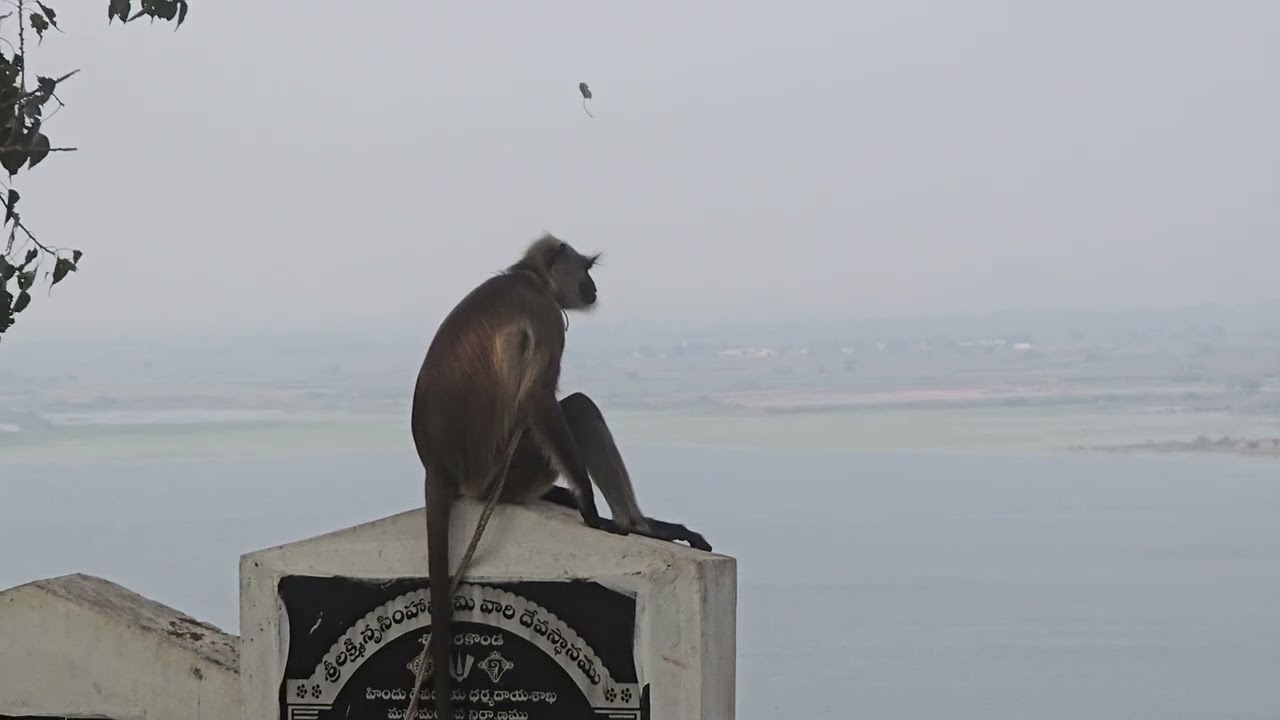 Singarakonda Temple &Bhavanasi tank view 