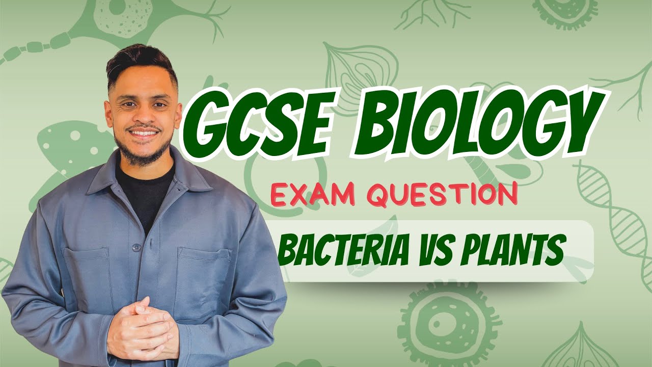 GCSE Biology: Exam Revision | Bacteria vs Plant Cells - YouTube