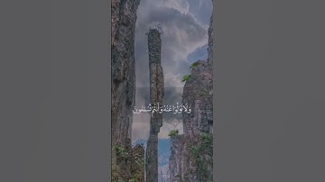 راحة نفسية #قران #تلاوات #ارح_سمعك #القران_الكريم