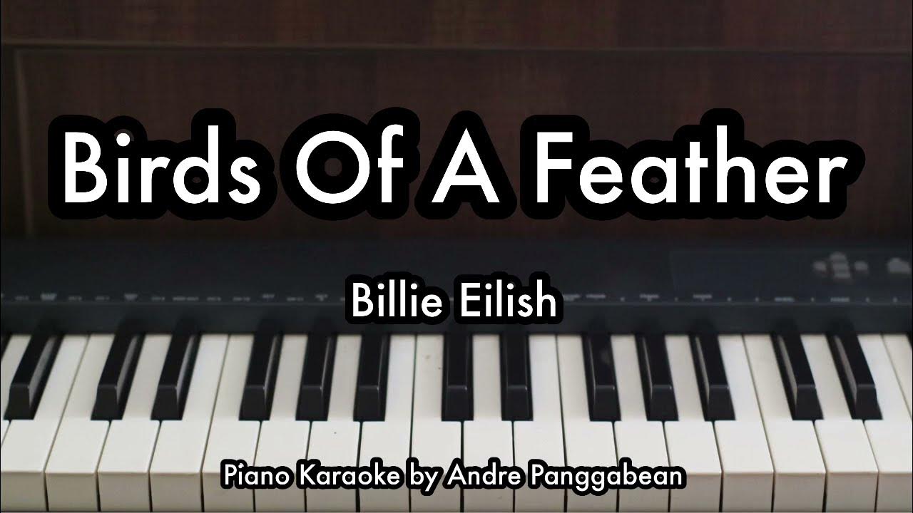 Birds Of A Feather - Billie Eilish | Piano Karaoke by Andre Panggaean Birds Of A Feather - Billie Eilish | Piano Karaoke by Andre Panggaean