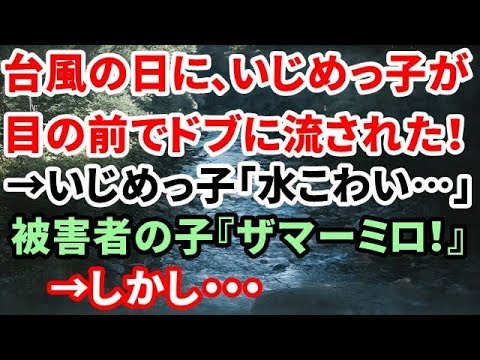 【修羅場】台風の日に、いじめっ子が目の前でドブに流された！→いじめっ子「水こわい…」被害者の子『ザマーミロ！ｗｗｗ』→しかし・・・【修羅場な生活】