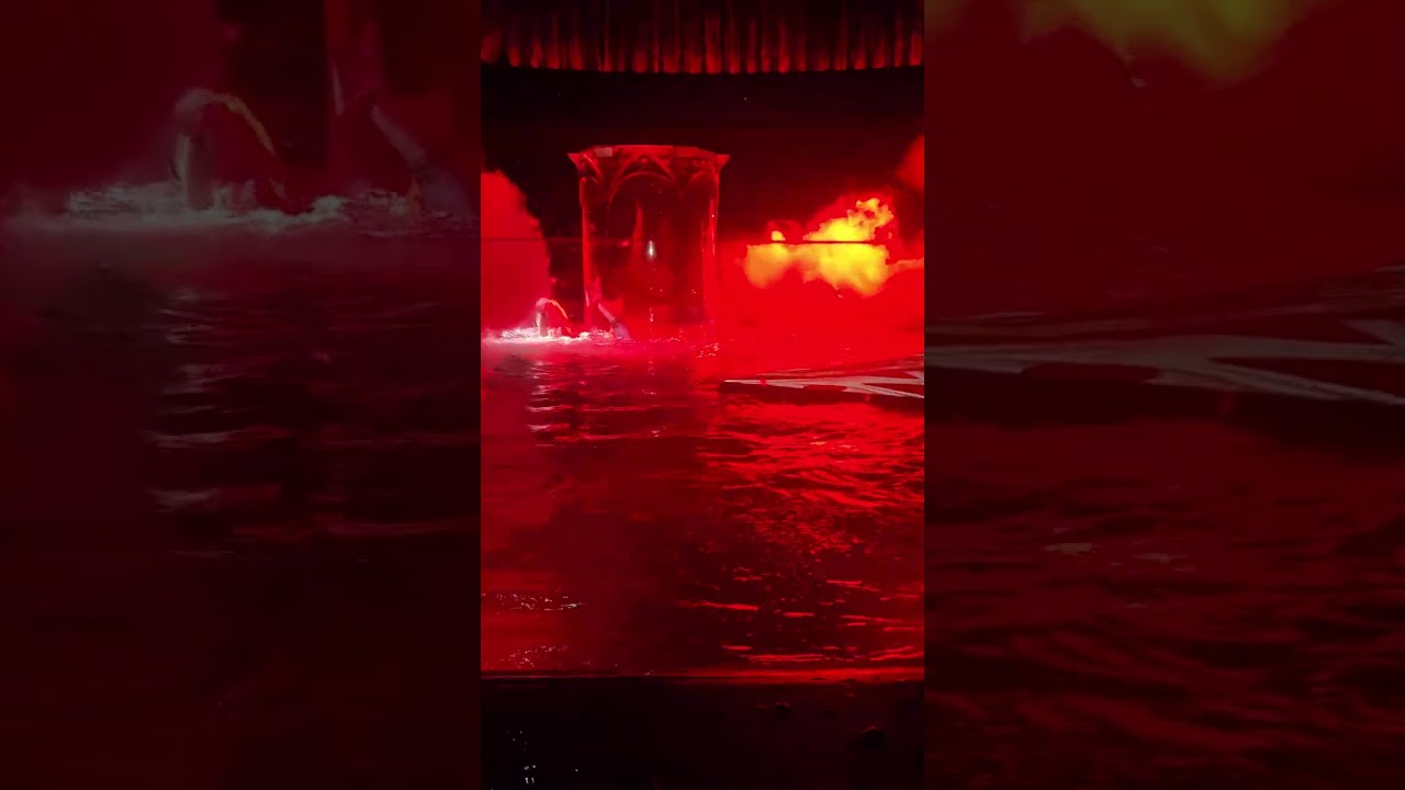 마카오에서 하우스오브댄싱워터 꿀잼