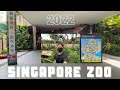 Singapore Zoo 2022 Tour | World Famous “Open Concept” Zoo | One of the Best Zoos in the World