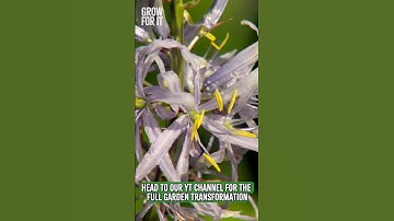 The Key Elements of a Contemporary Garden! #contemporary