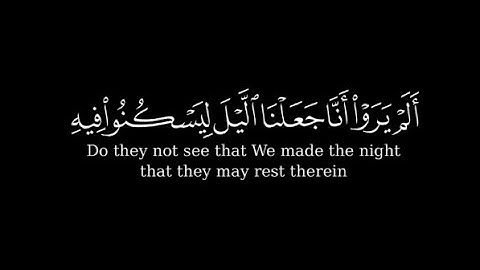 القرآن الكريم القارئ عبد الرحمن الشوكري سورة النمل كروما شاشة سوداء تلاوة جميلة