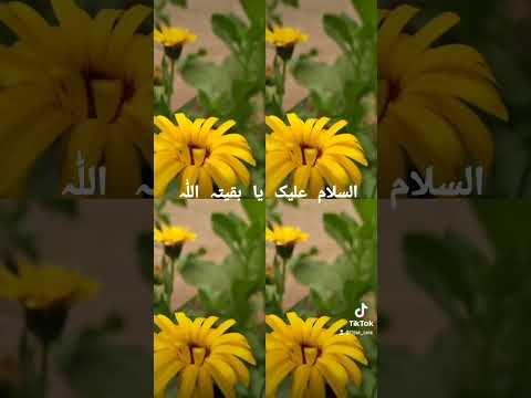 Video: Wer sind die Askaris in der Sonnenblume?