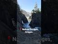 Natural Bridges - Samuel H. Boardman State Scenic Corridor #OregonCoast