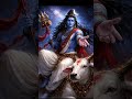 Om Jaya Jaya shankara Hara Hara shankara digi rara #Om Namah Shivaya 🕉️🙏🕉️🌺🌹🌺