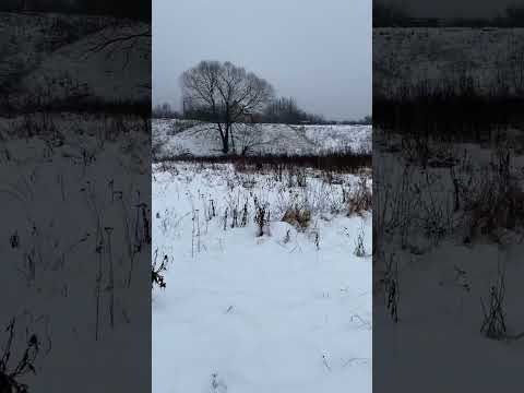 Охота Липецкая область.