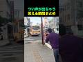 つい声が出ちゃう笑える瞬間まとめ🤣 #fun #funny #funnyvideos