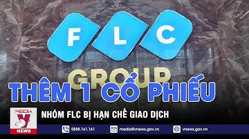 Thêm 1 cổ phiếu nhóm FLC bị hạn chế giao dịch - VNEWS